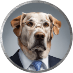 Big Dog Fink