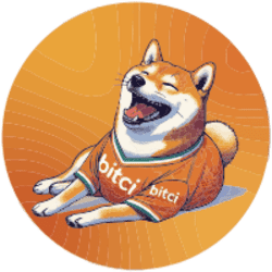 Bitci Bonk