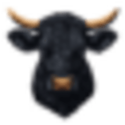 Black Agnus