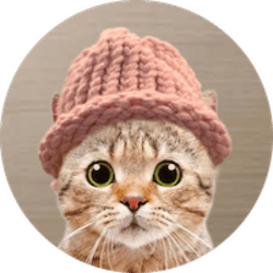 CatWifHat