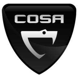Cosanta