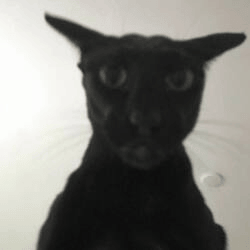 Evil Larry