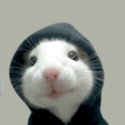 hood rat
