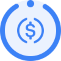 Instadapp USDC