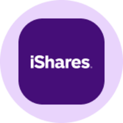 iShares Core MSCI EAFE ETF (Ondo Tokenized ETF)