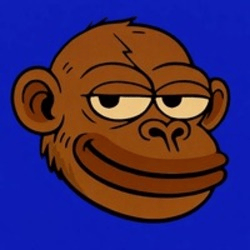 Monkey Cult