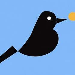 Magpie