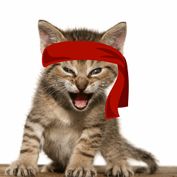 Red Kitten Crew