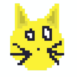 Solana Cat