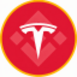 Tesla (bStocks Tokenized Stock)