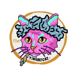 TinHatCat