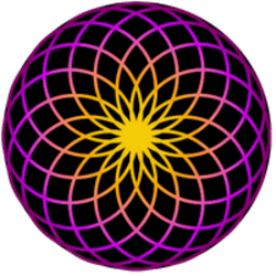 TORUS