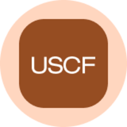 United States Oil Fund (Ondo Tokenized)