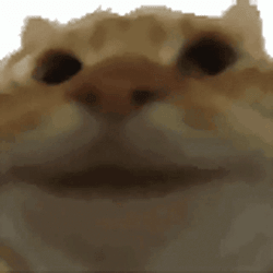 yepcat